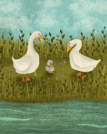 Illustration project 11